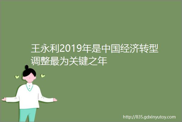 王永利2019年是中国经济转型调整最为关键之年
